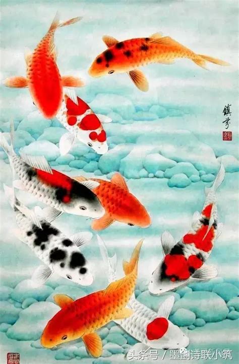 鯉魚吉祥話|【鯉魚寓意】鯉躍龍門化吉祥 錦鯉躍然寓意深